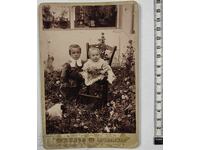 COPII CÂINE PISICĂ PORTRET COPII FOTOGRAFIE CARTON