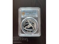 10 lei 2005 Shortrek