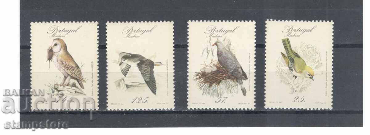 Πορτογαλία/Μαδέρα/ - Πουλιά Πορτογαλία/Μαδέρα/ - Πουλιά