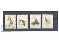 Portugal/Madeira/ - Birds