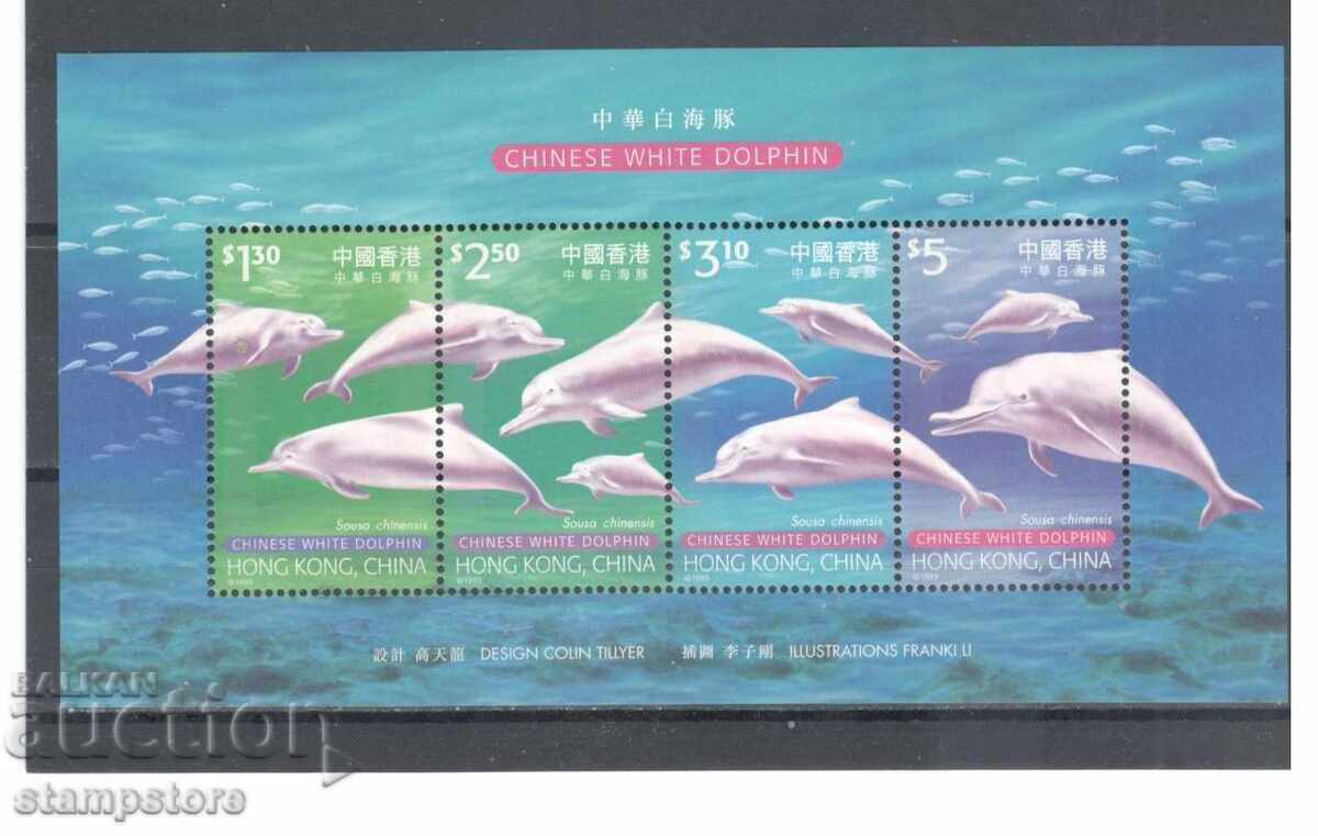 Hong Kong - Marine Fauna