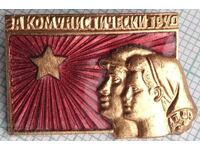 18832 Insignă - Pentru muncă comunistă - bronz email