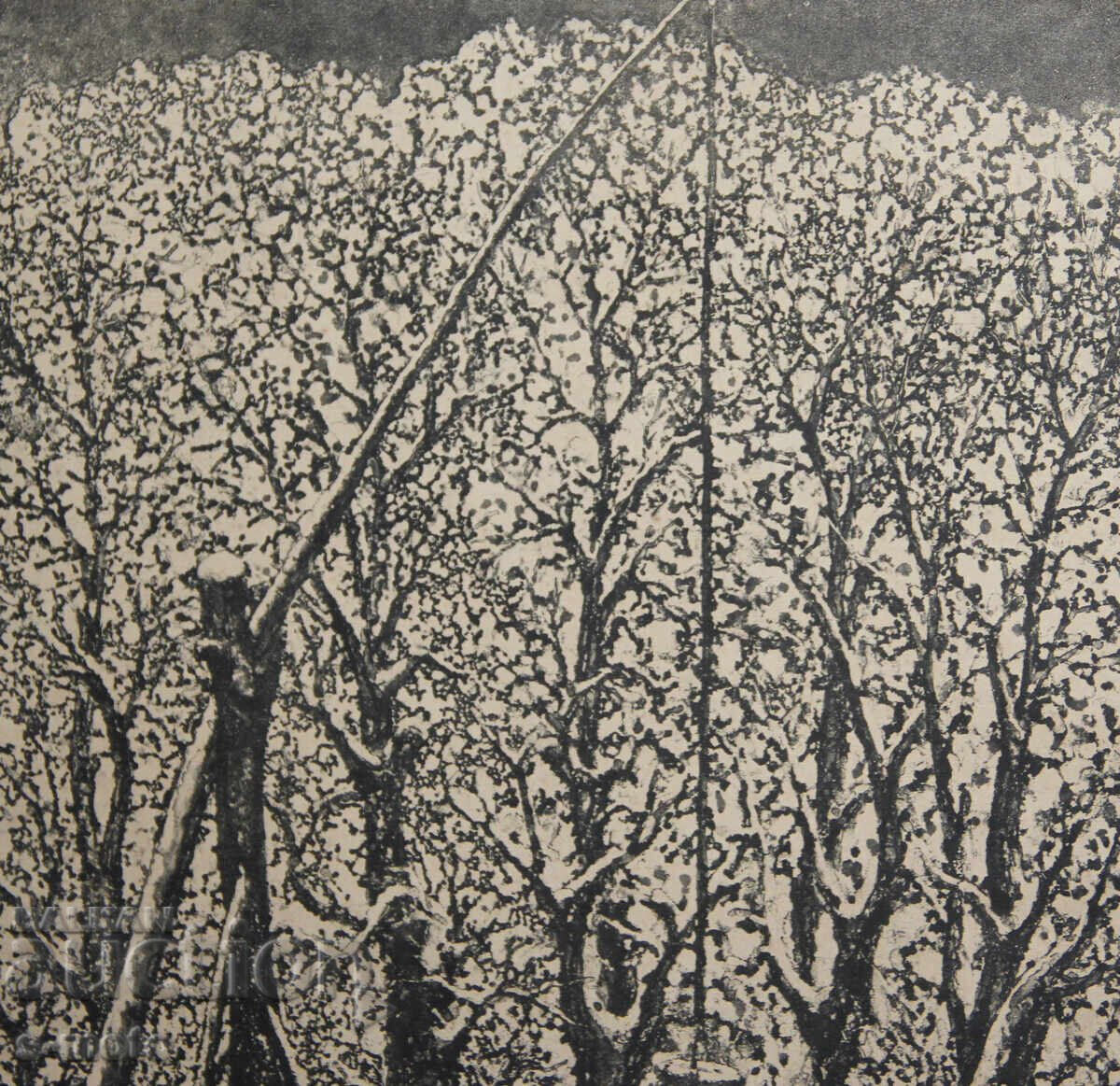 Graphics, lithograph landscape 1989 - 5