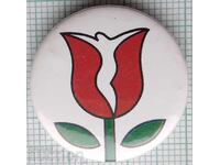 18835 Insigna - Lalea