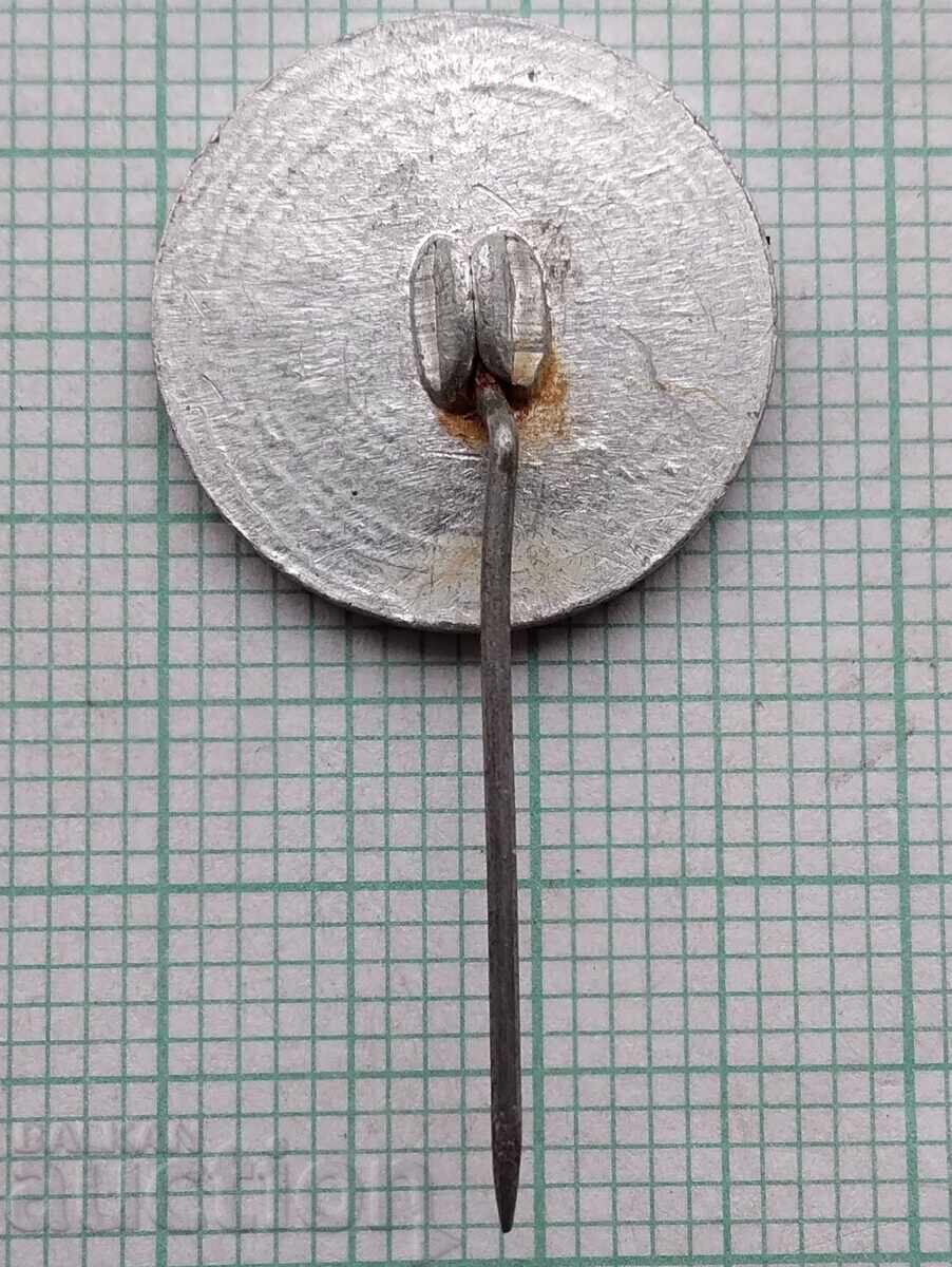 Δημοπρασία 18839 Σήμα - Σκιέρ