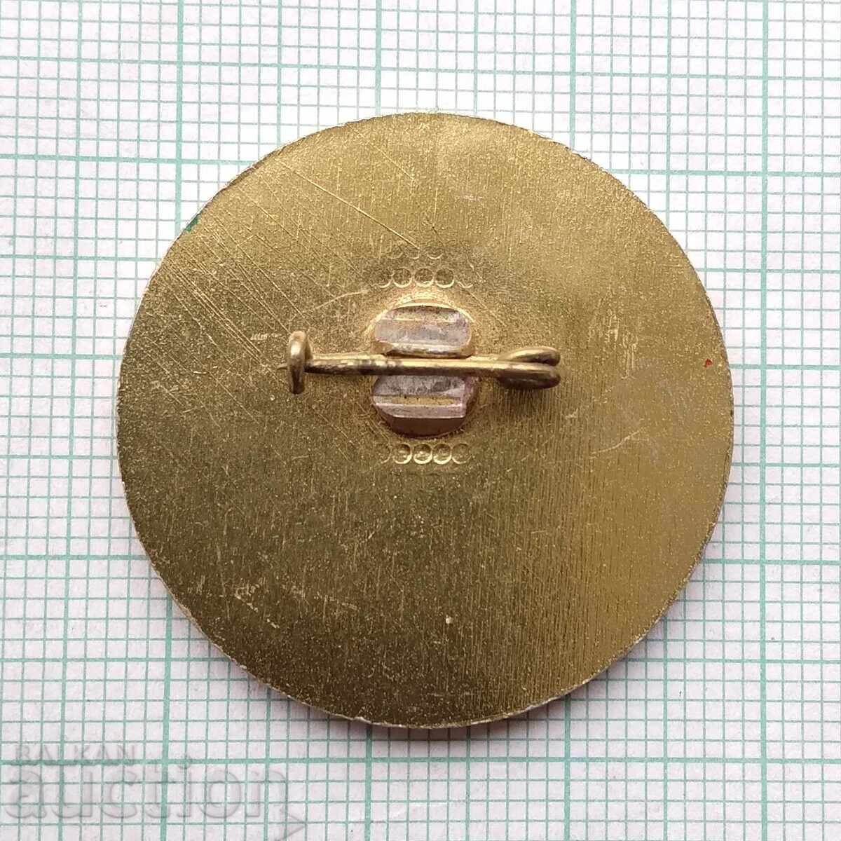 Auction  18846 Badge - First Congress of National Education - 1980