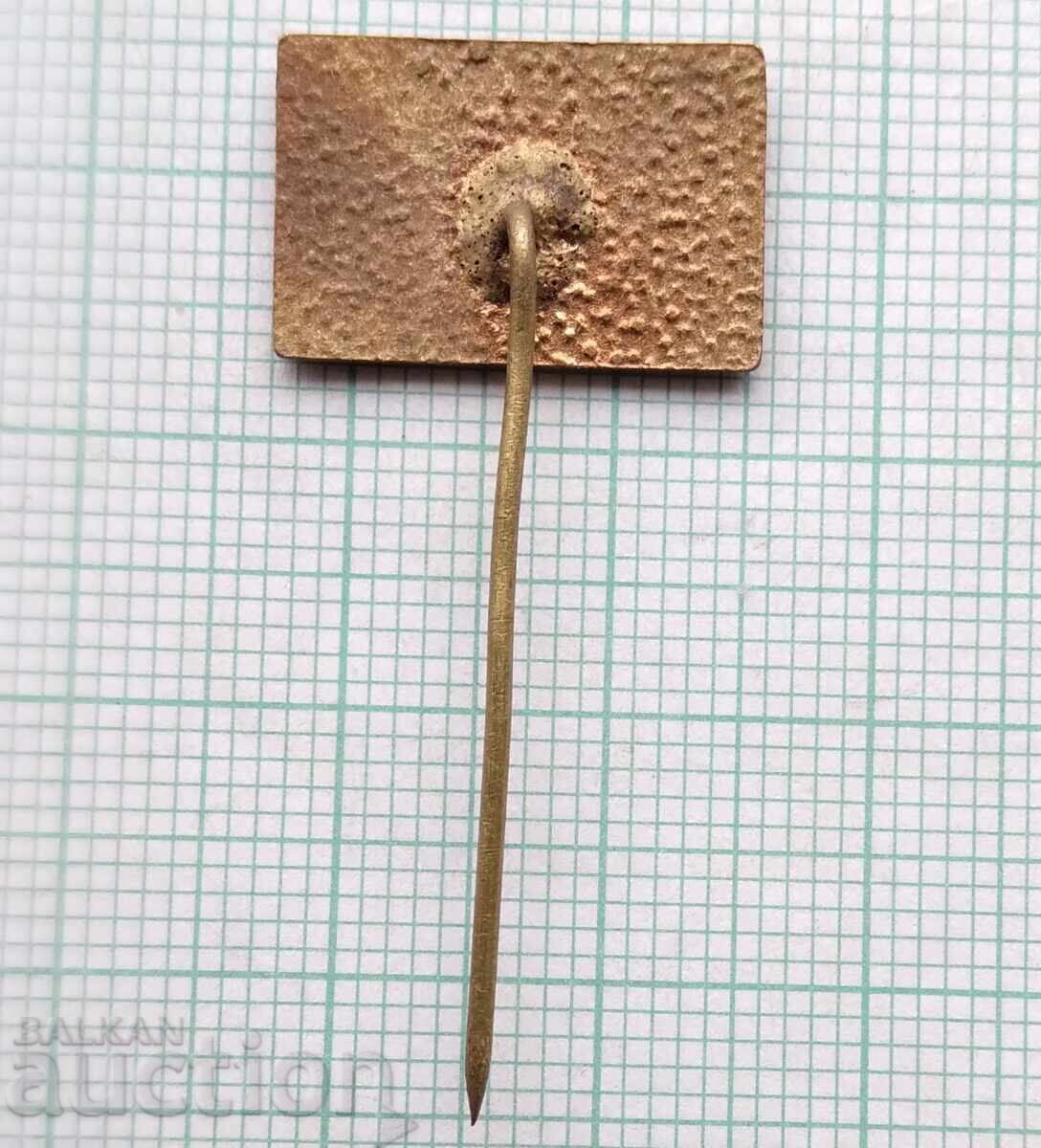 Auction 18847 Badge - Raznoiznos firm - bronze enamel Auction 18847 Badge - Raznoiznos firm - bronze enamel