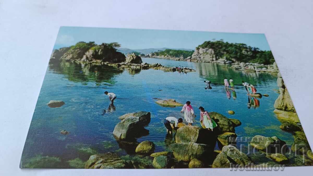 Carte poștală Republica Populară Democrată Coreea