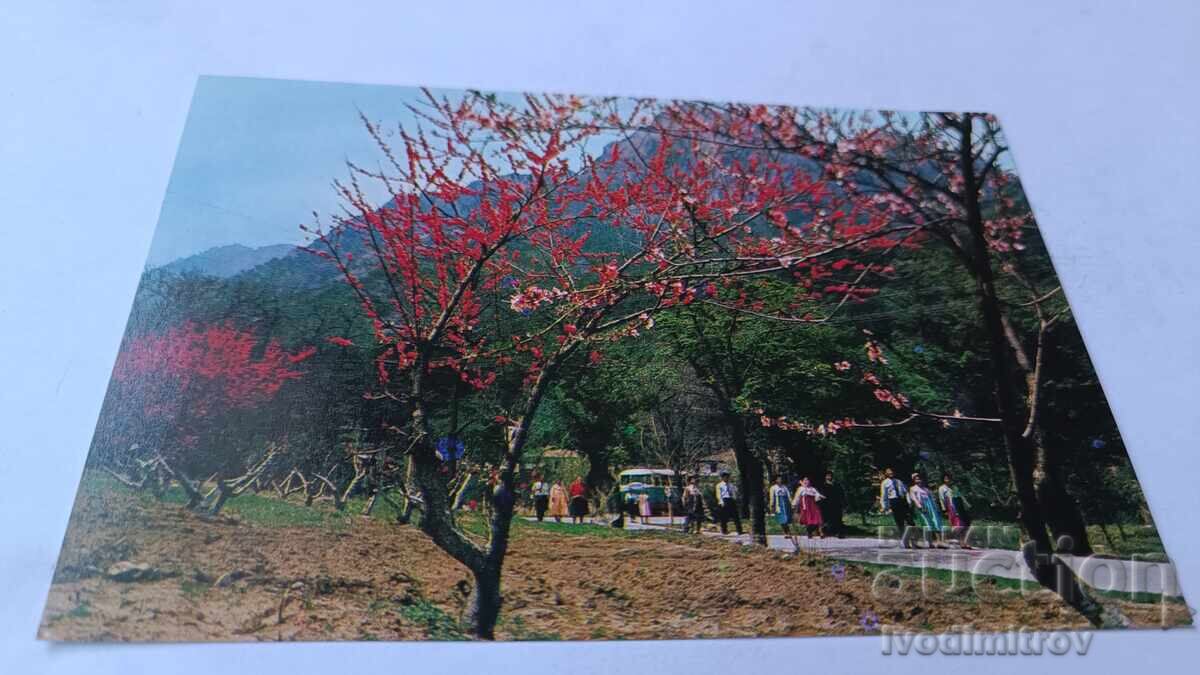 Postcard Democratic People's Republic of Korea