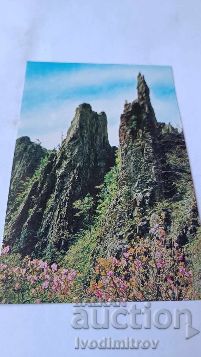 Postcard Democratic People's Republic of Korea Postcard Democratic People's Republic of Korea