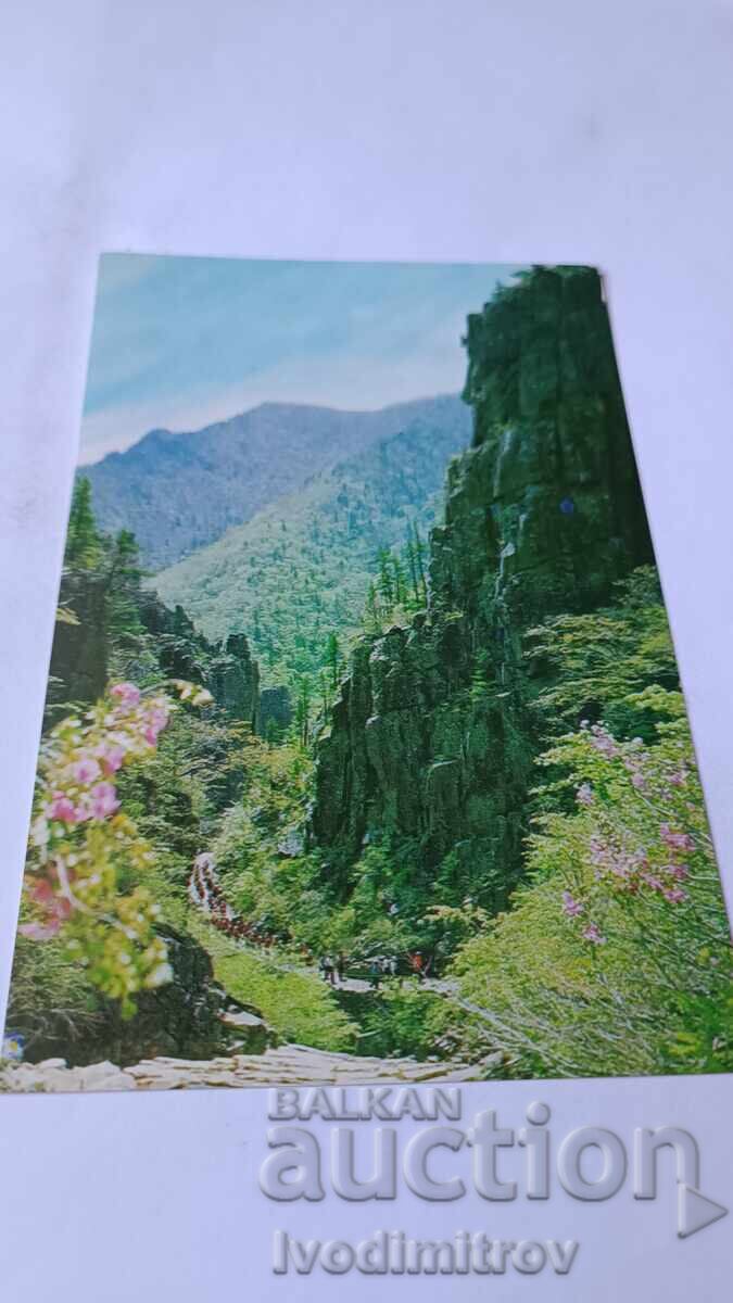 Postcard Democratic People's Republic of Korea