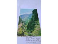 Carte poștală Republica Populară Democrată Coreea