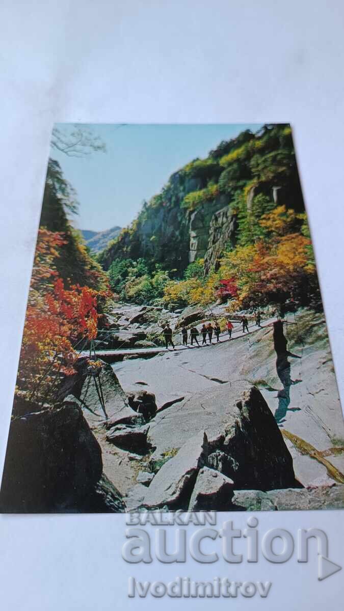 Carte poștală Republica Populară Democrată Coreea