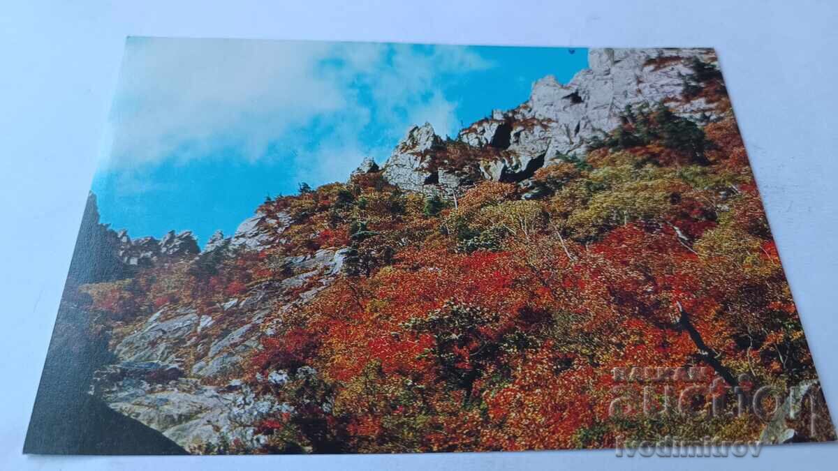 Пощенска картичка Корейска Народно-демократична Република Пощенска картичка Корейска Народно-демократична Република