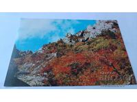 Carte poștală Republica Populară Democrată Coreea