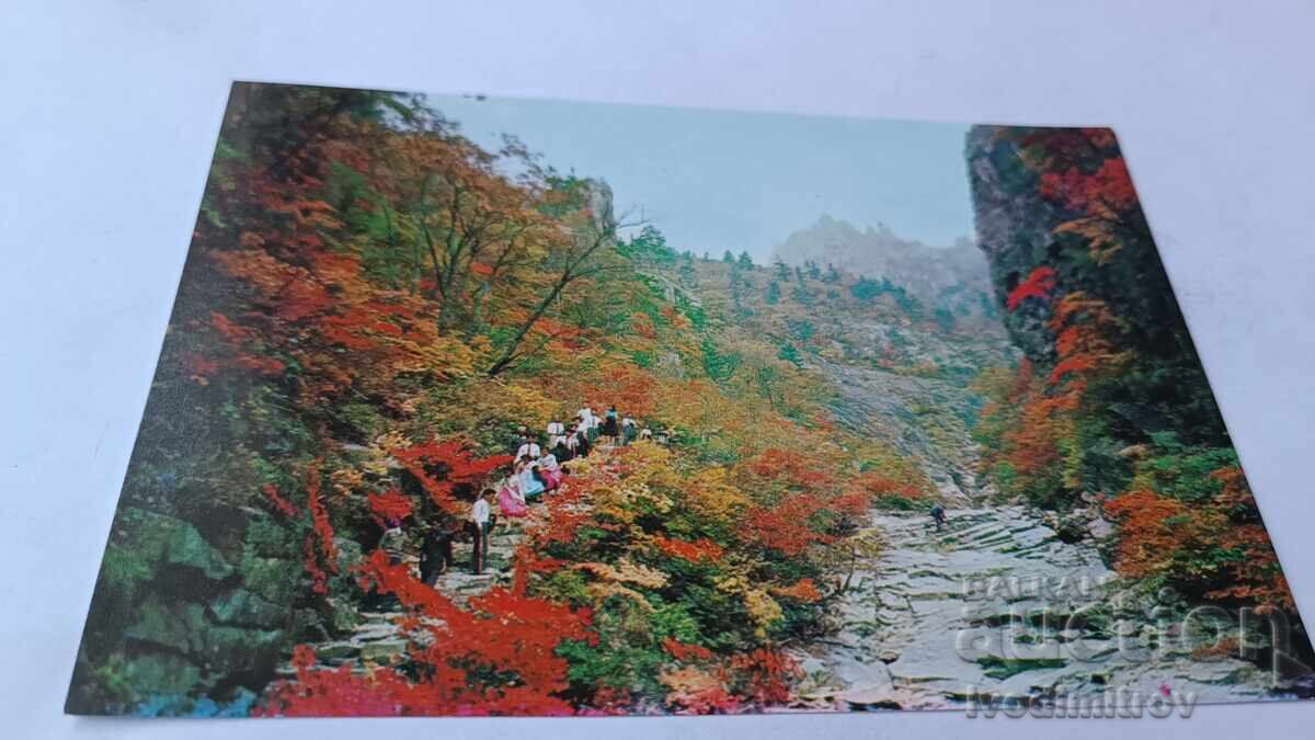 Postcard Democratic People's Republic of Korea Postcard Democratic People's Republic of Korea