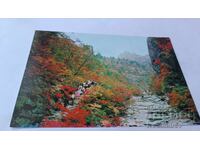 Carte poștală Republica Populară Democrată Coreea