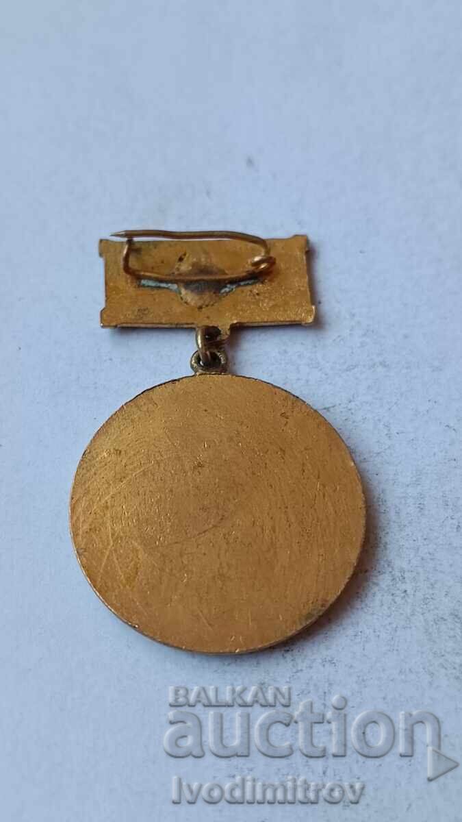 Badge of Honorary Rationalizer with price 4.85 BGN | € 2.48 Badge of Honorary Rationalizer with price 4.85 BGN | € 2.48