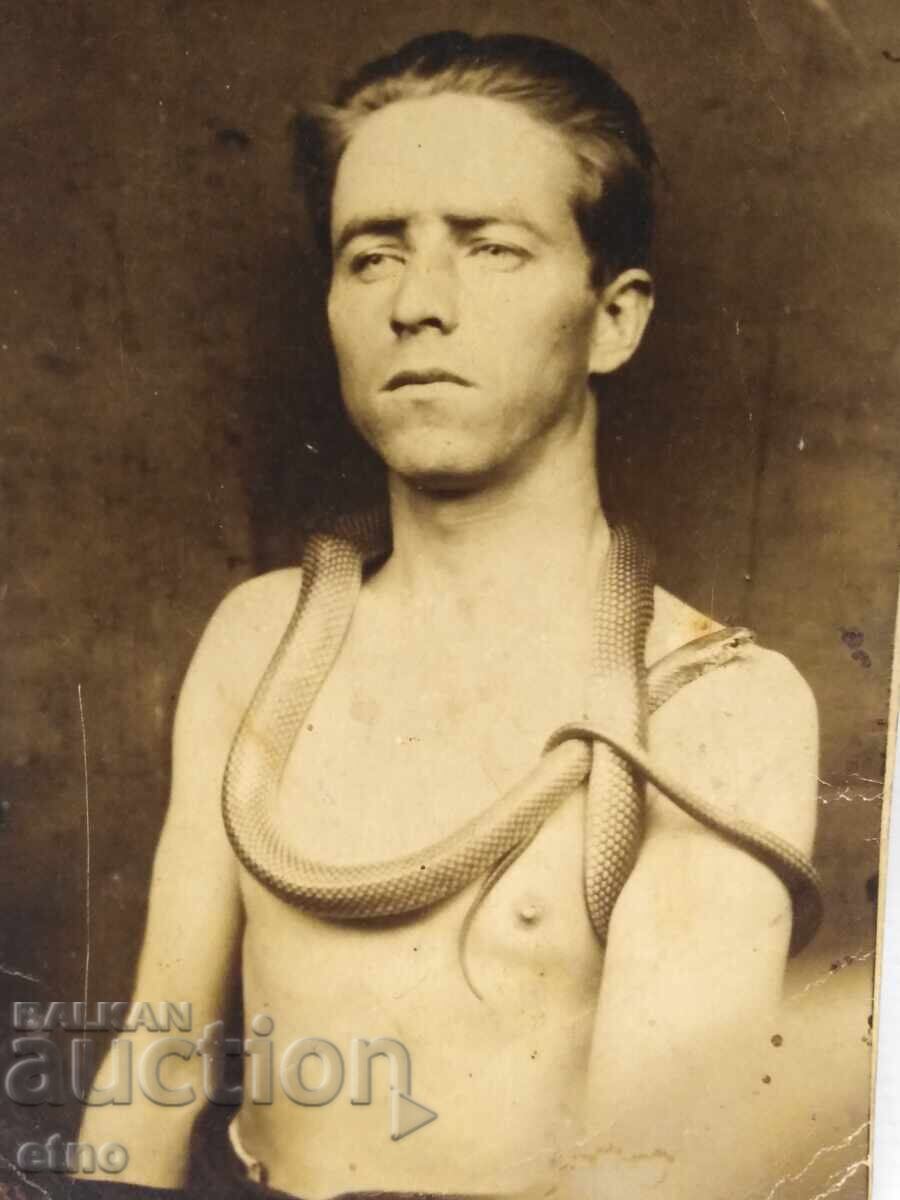 Pazardzhik 1935. ROYAL PHOTO - "SMOK - MY FRIEND" SNAKE, SMOK with price 15.00 BGN | € 7.67