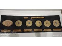 Model of conception, egg cell division, embryonic development
