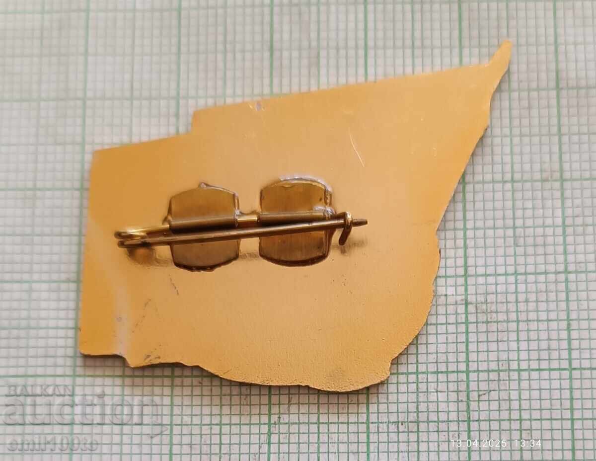 Delivery of Badge - All-Army Conference of Party Secretaries Delivery of Badge - All-Army Conference of Party Secretaries