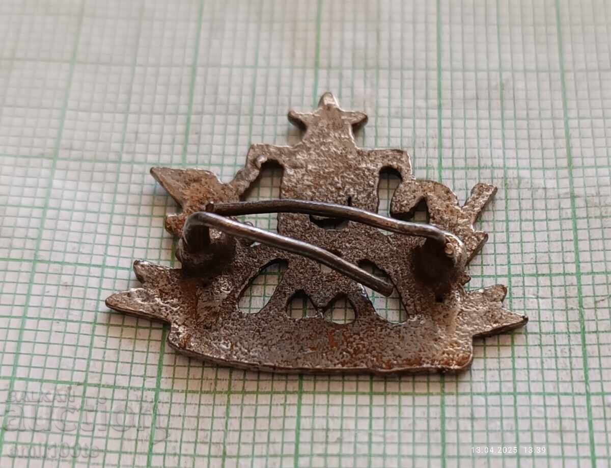 Cocarda SPTUM Sofia - 6 Cocarda SPTUM Sofia - 6