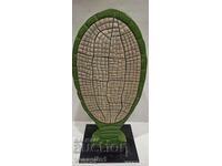 Old model of Common Liverwort Marchantia polymorpha