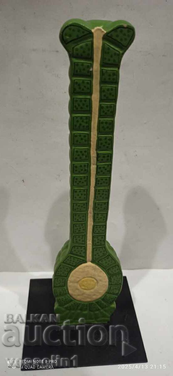 Old model of Common Liverwort Marchantia polymorpha