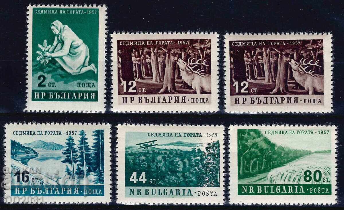 Βουλγαρία 1957 - δάσος MNH