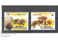 Macedonia - Bees