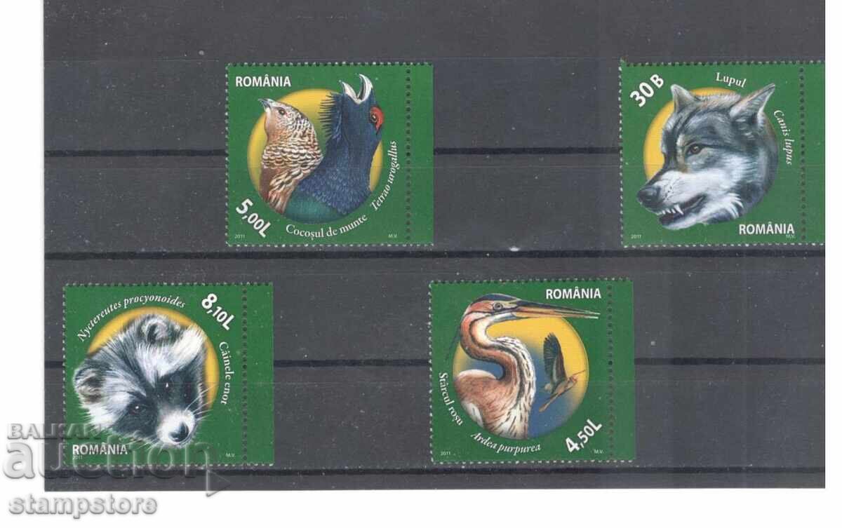 Romania - Fauna Romania - Fauna