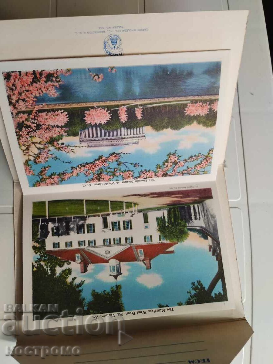 Delivery of Large Bouquet of USA Postcards - A 5514 Delivery of Large Bouquet of USA Postcards - A 5514