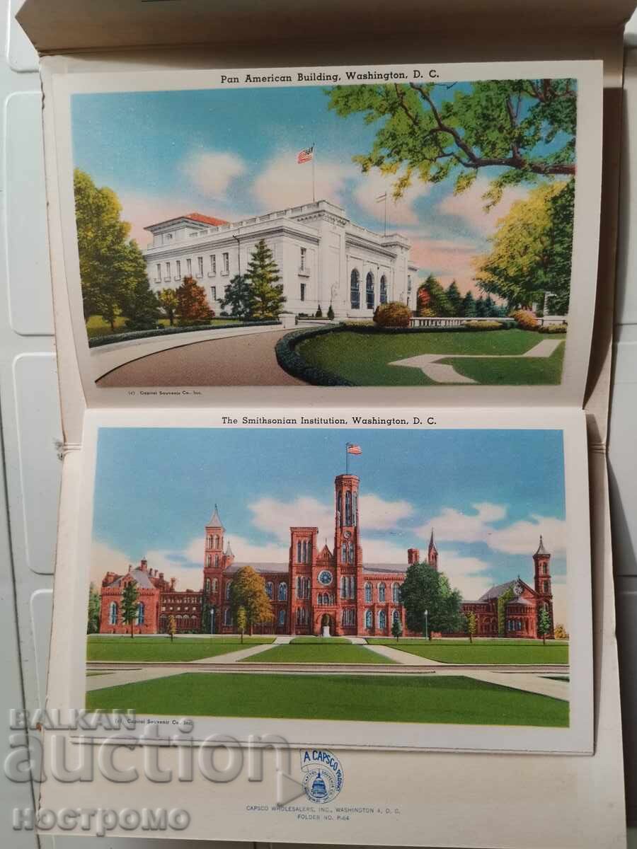 Large Bouquet of USA Postcards - A 5514 - 5 Large Bouquet of USA Postcards - A 5514 - 5