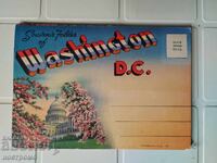 Large Bouquet of USA Postcards - A 5514