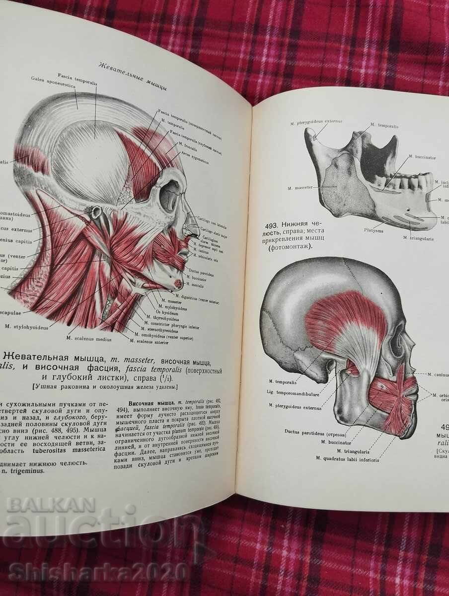Доставка на Атлас Анатомии Человека - Том II Доставка на Атлас Анатомии Человека - Том II