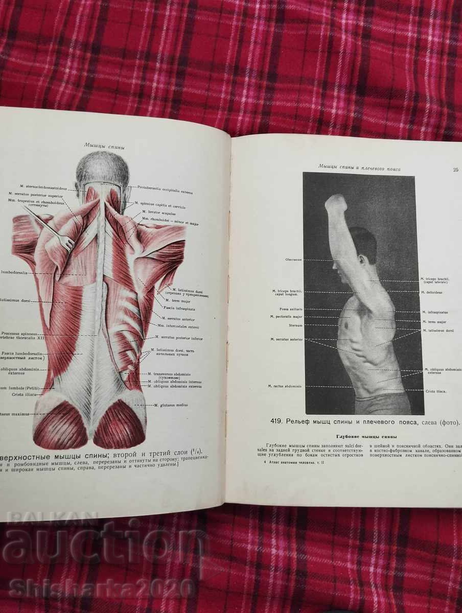 Атлас Анатомии Человека - Том II - 6 Атлас Анатомии Человека - Том II - 6