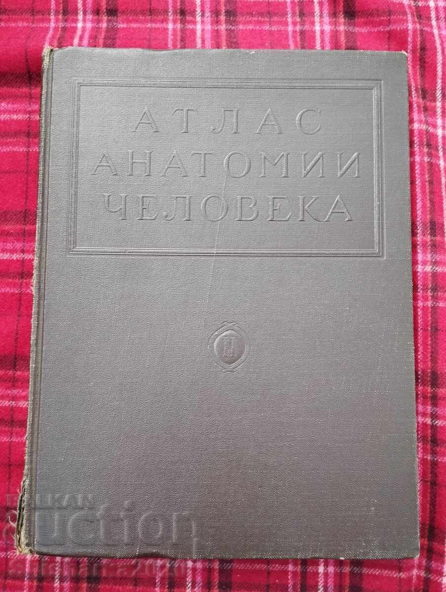 Атлас Анатомии Человека - Том II Атлас Анатомии Человека - Том II