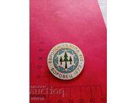 Значка  Европейска купа 1977