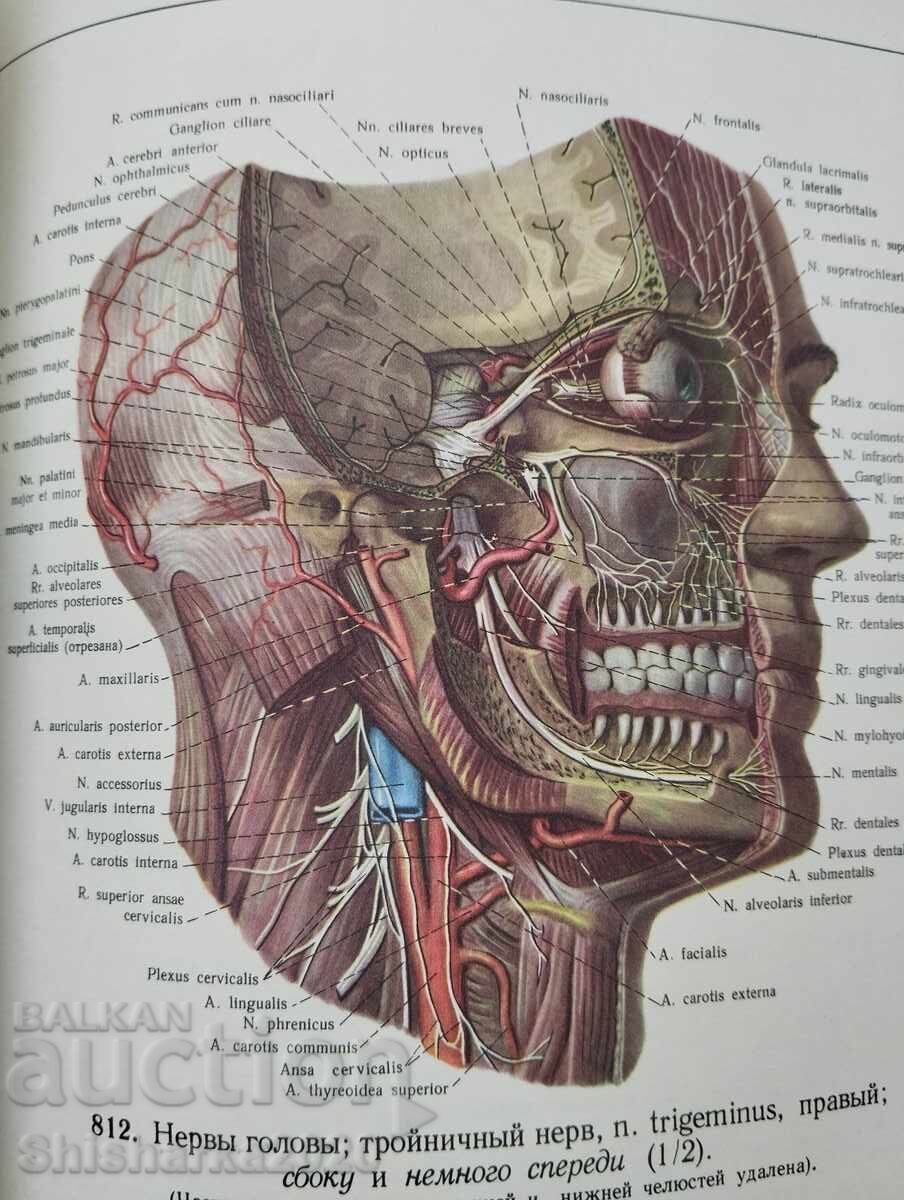 Доставка на Атлас Анатомии Человека - Том III