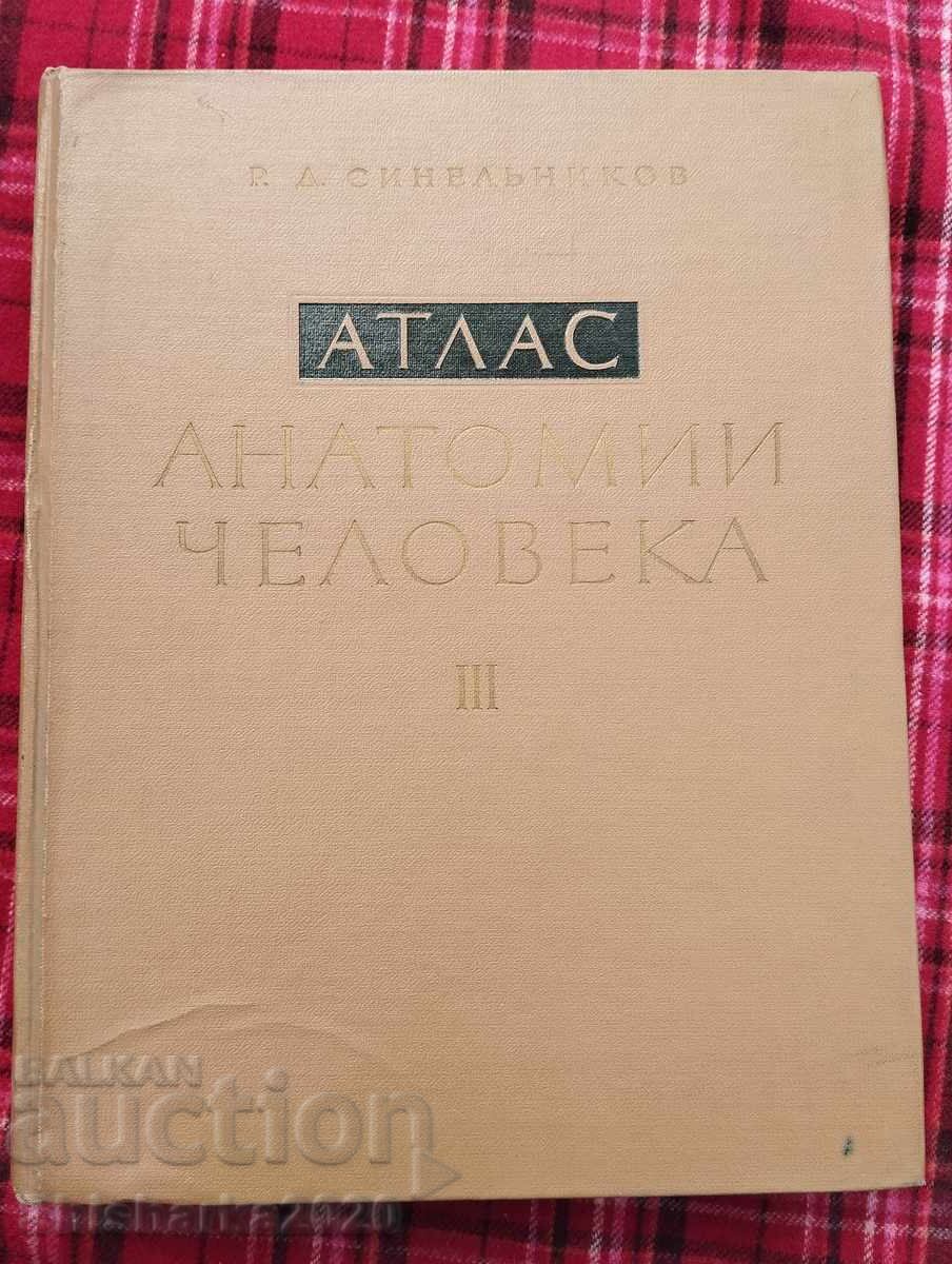 Атлас Анатомии Человека - Том III