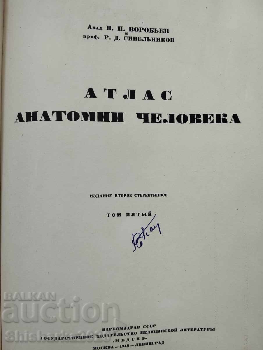 Атлас Анатомии Человека - Том V с цена 20.00 лв. | € 10.23