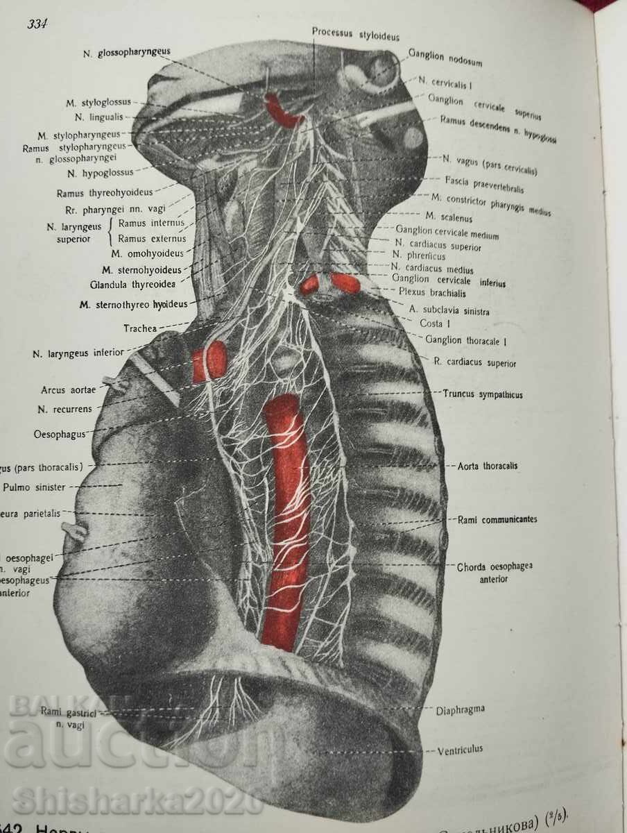 Доставка на Атлас Анатомии Человека - Том V
