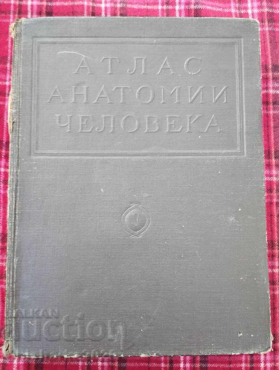 Атлас Анатомии Человека - Том V