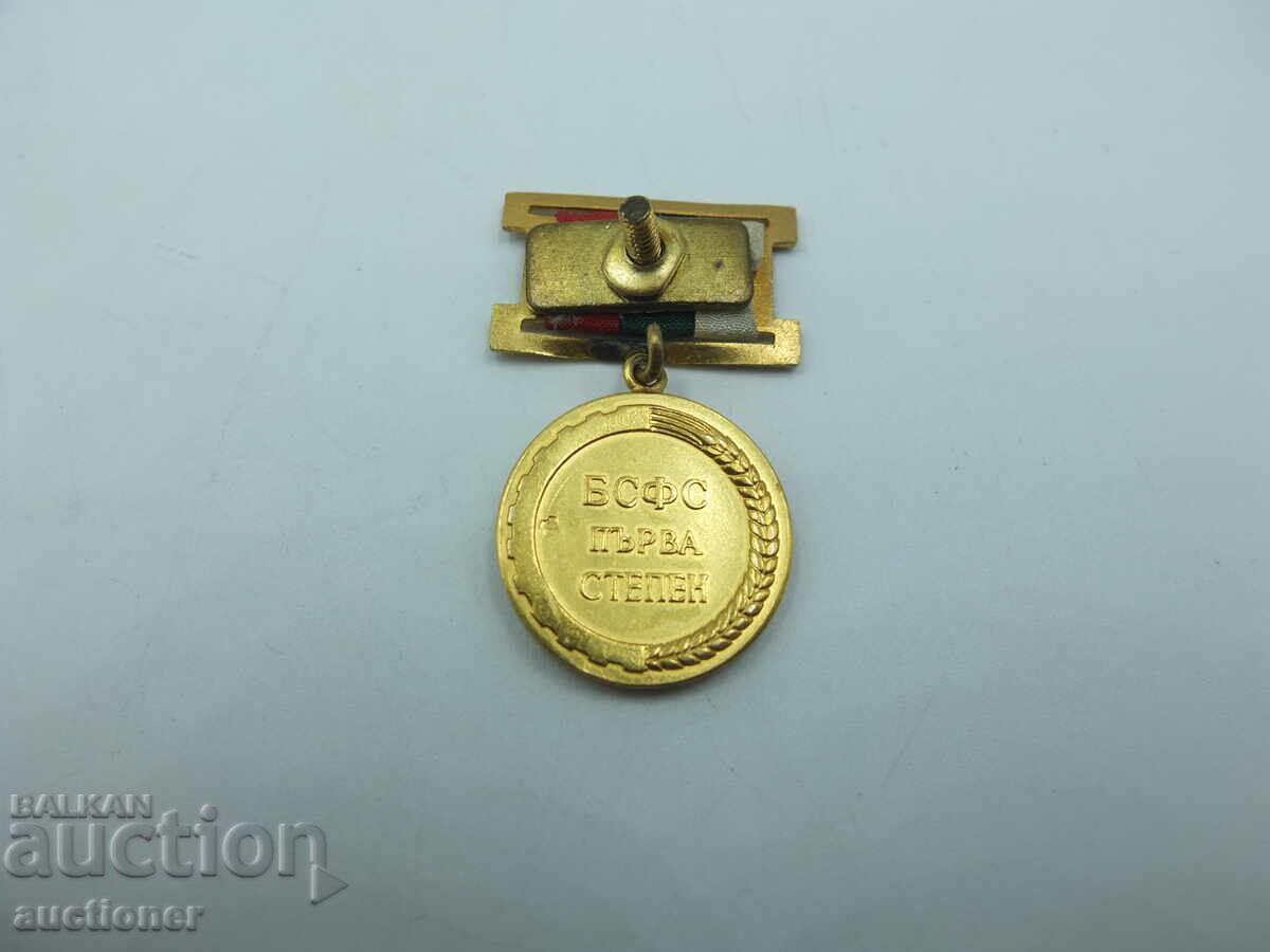 ЗЛАТНА ЗНАЧКА МЕДАЛ БСФС ПЪРВА СТЕПЕН 8 КАРАТОВО ЗЛАТО !!! - 5 ЗЛАТНА ЗНАЧКА МЕДАЛ БСФС ПЪРВА СТЕПЕН 8 КАРАТОВО ЗЛАТО !!! - 5
