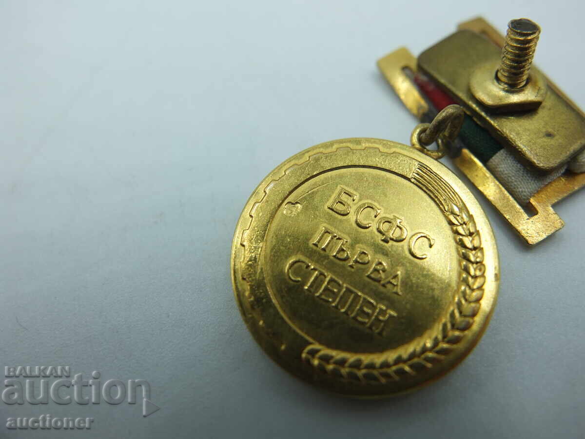 ЗЛАТНА ЗНАЧКА МЕДАЛ БСФС ПЪРВА СТЕПЕН 8 КАРАТОВО ЗЛАТО !!! - 6 ЗЛАТНА ЗНАЧКА МЕДАЛ БСФС ПЪРВА СТЕПЕН 8 КАРАТОВО ЗЛАТО !!! - 6