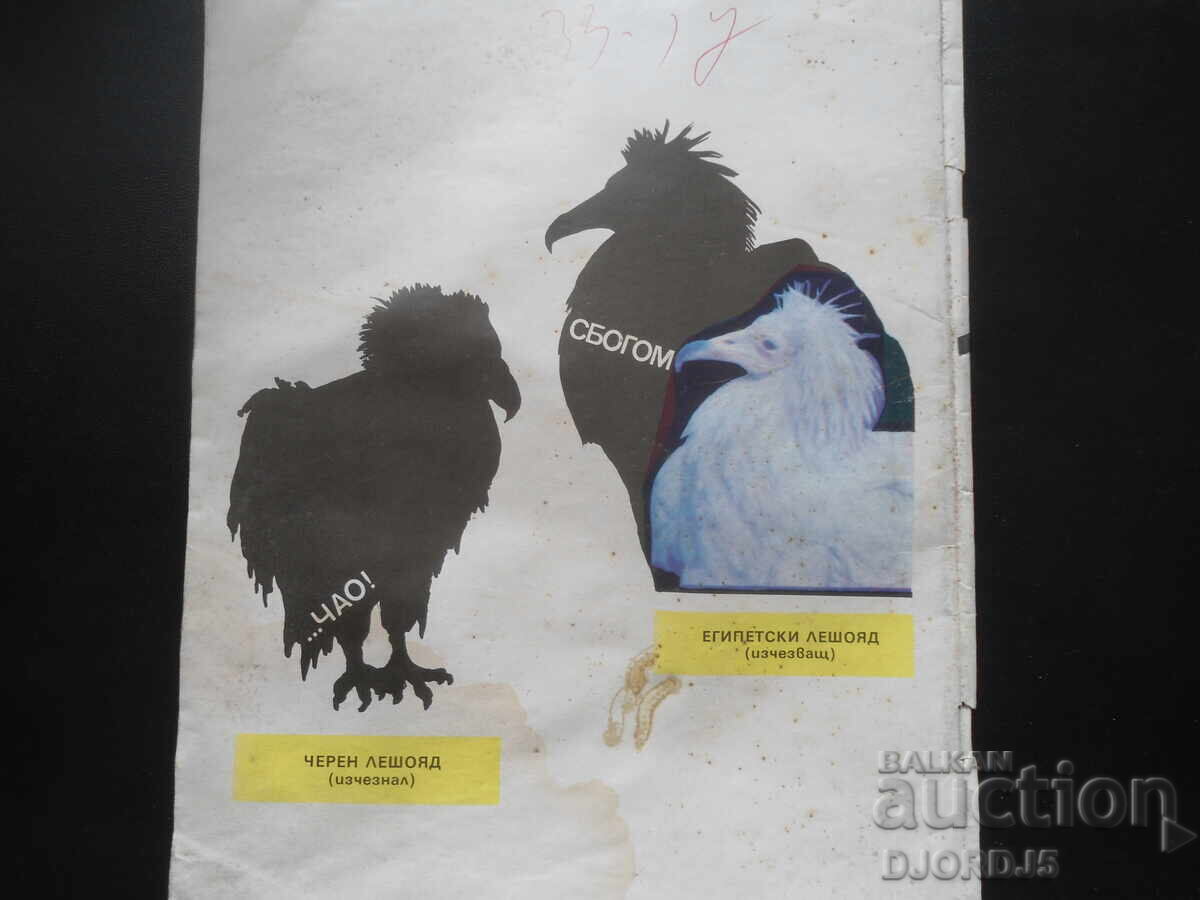 Auction Magazine "HUNTING and FISHING", 8 issue 1989 Auction Magazine "HUNTING and FISHING", 8 issue 1989