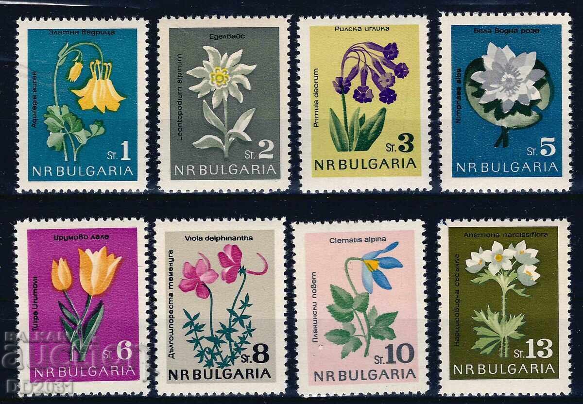 Bulgaria 1963 - Flowers MNH