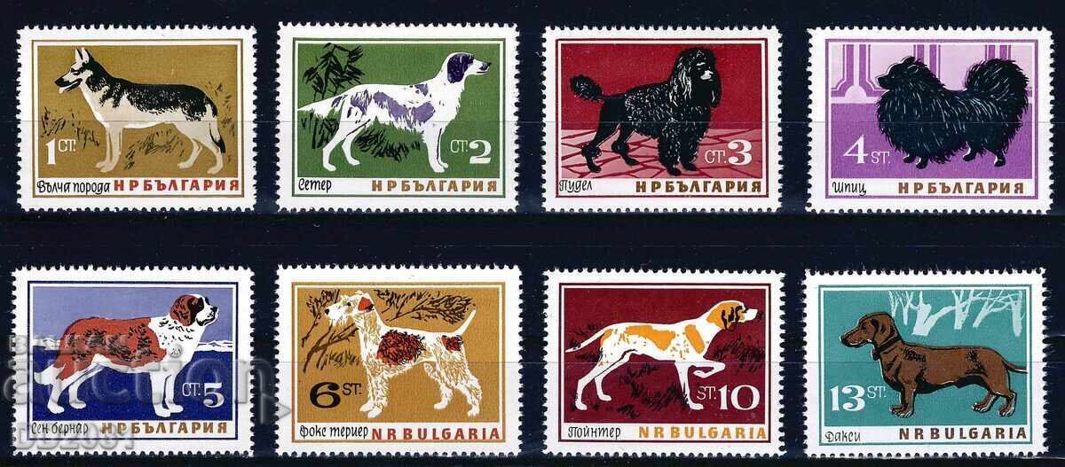 Βουλγαρία 1964 - Σκύλοι MNH