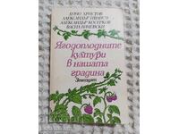 Ягодоплодните култури в нашата градина