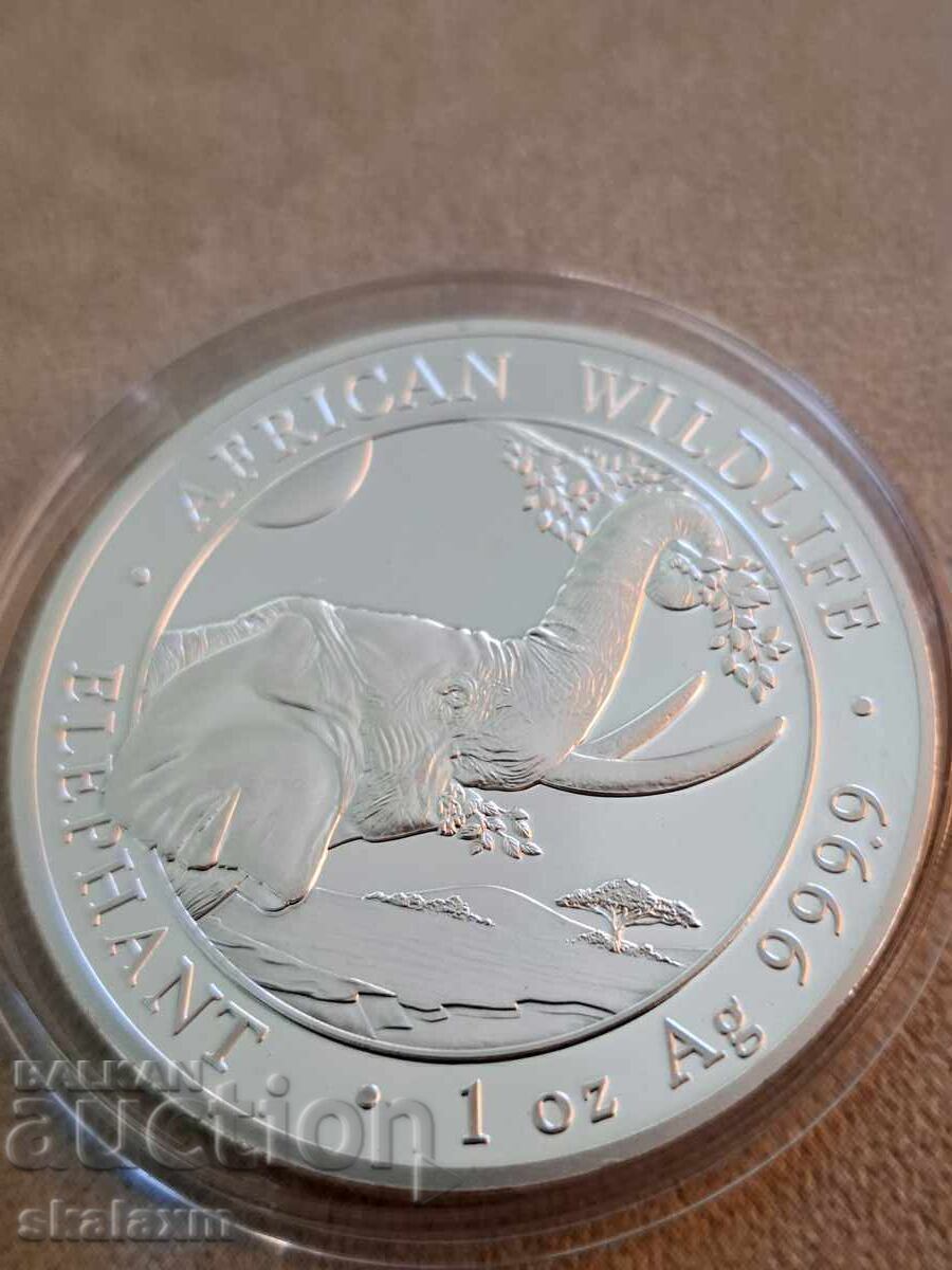 Δημοπρασία Ασήμι 1 oz. Σομαλικός Ελέφαντας 2023 Δημοπρασία Ασήμι 1 oz. Σομαλικός Ελέφαντας 2023